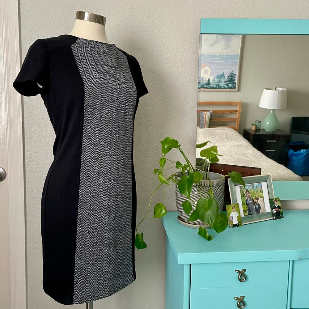 Michael Kors Black & Gray Color Block Flattering Sheath Dress 6 Business Career